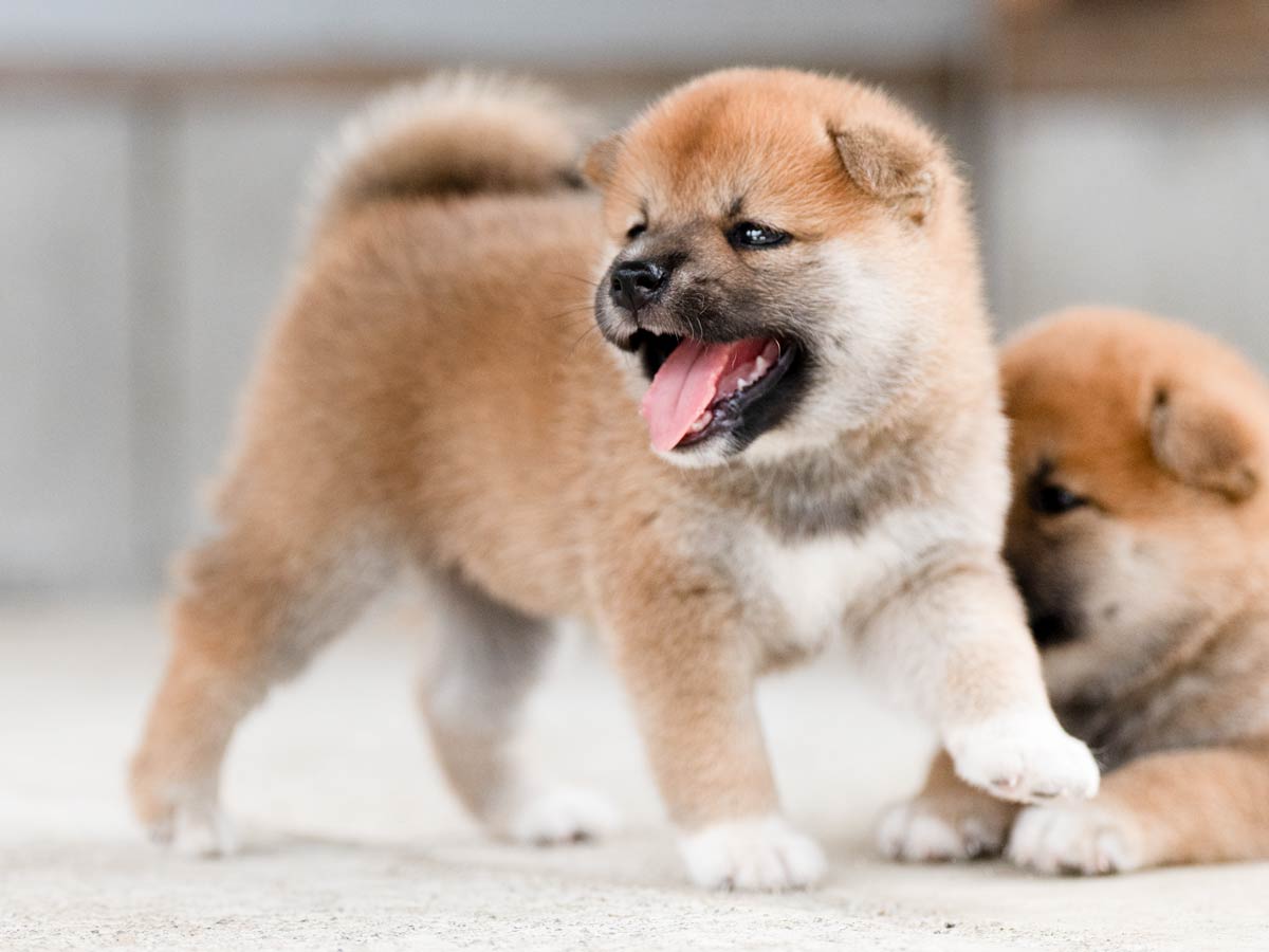 DSC07275-Edit DSC07275-Edit