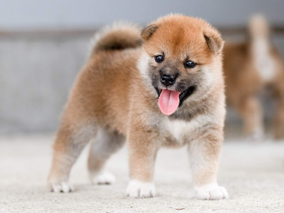 DSC07433-Edit DSC07433-Edit