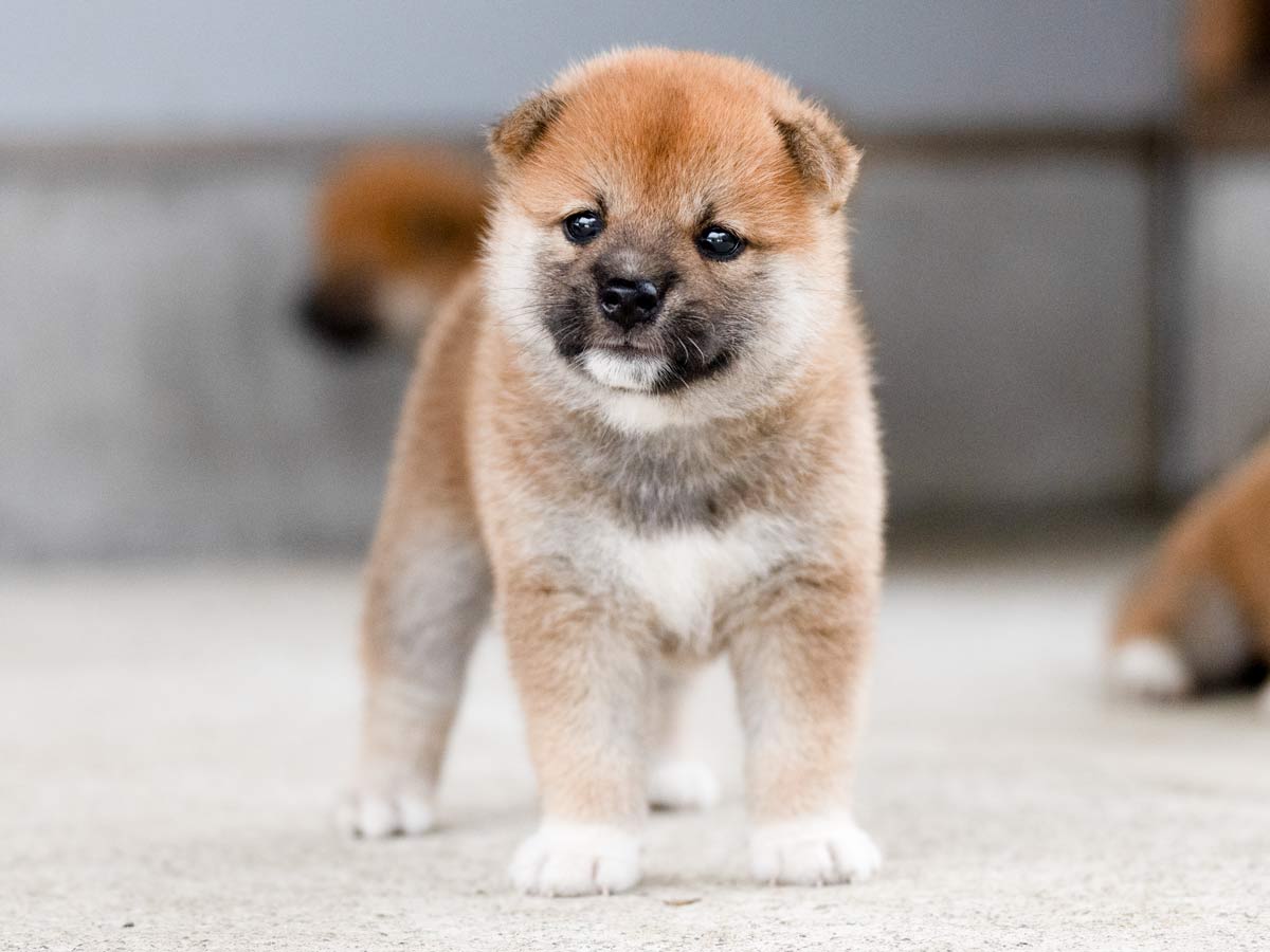 DSC07460-Edit DSC07460-Edit