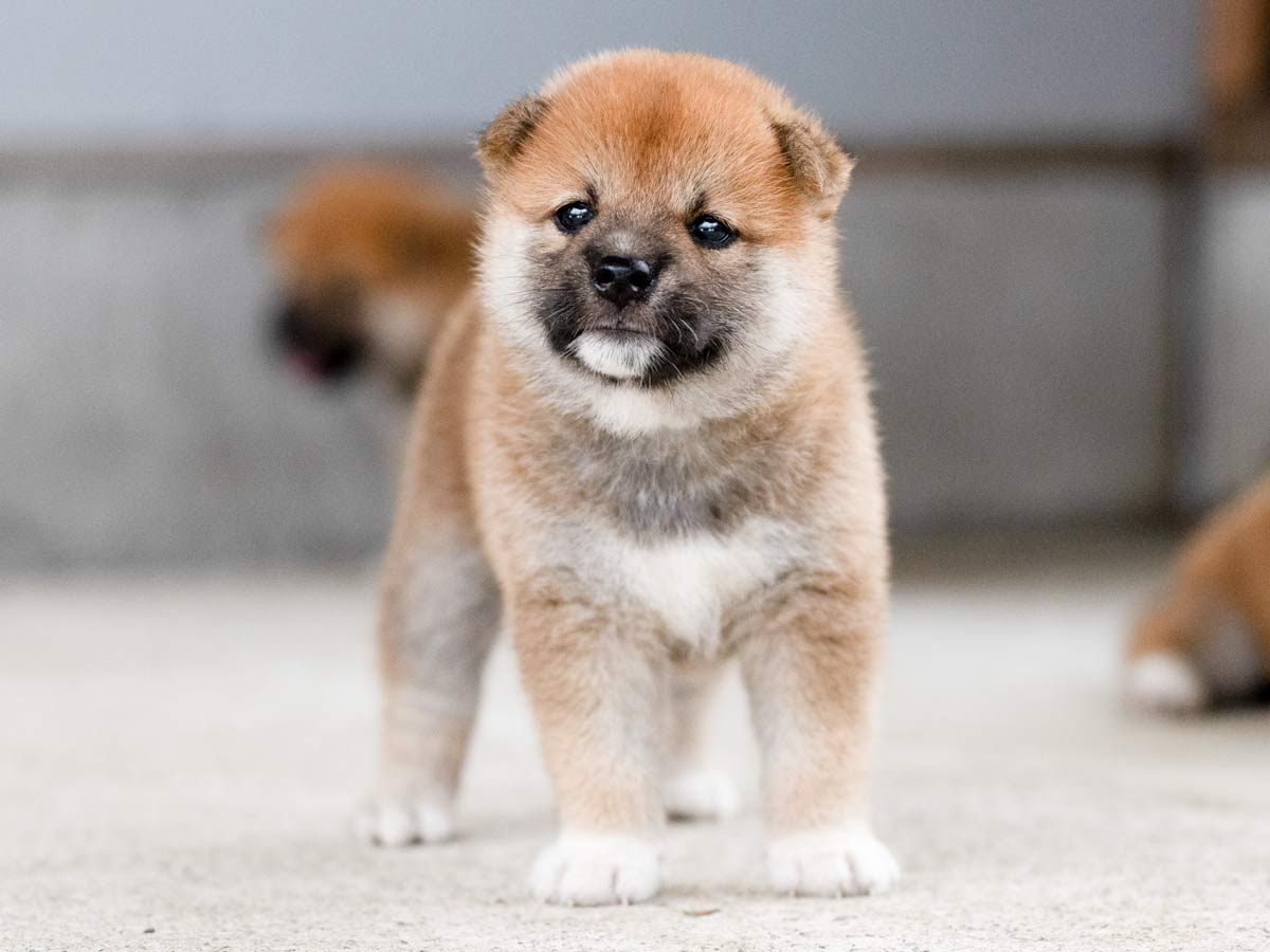 DSC07483-Edit DSC07483-Edit