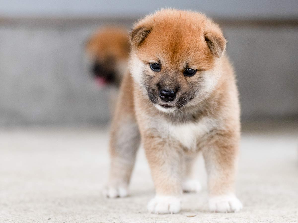 DSC07497-Edit DSC07497-Edit