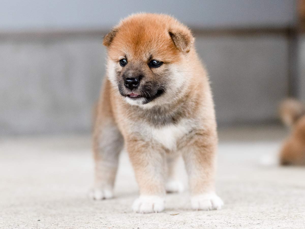 DSC07556-Edit DSC07556-Edit