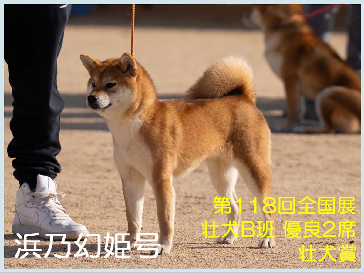 浜乃幻姫号 浜乃幻姫号