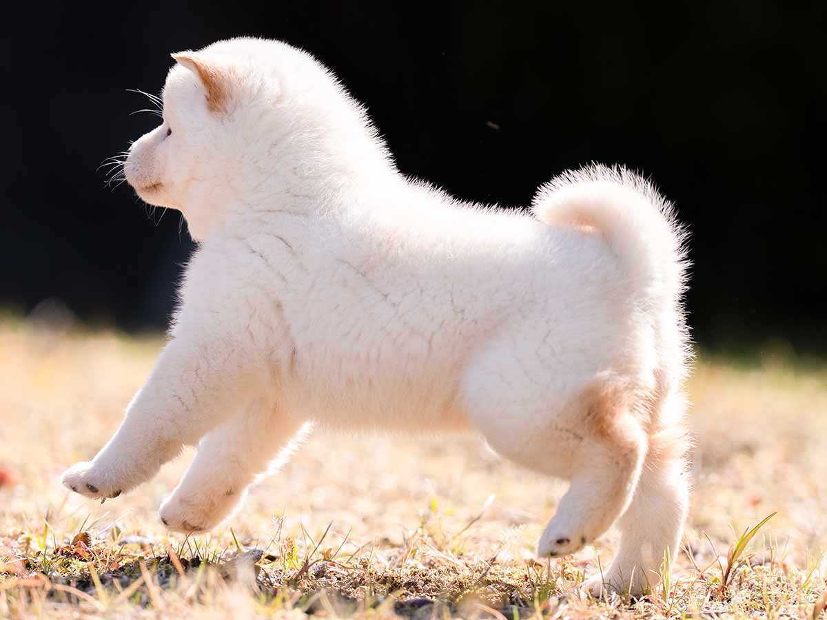 DSC03338-Edit DSC03338-Edit