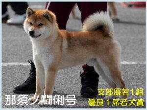那須ノ闘俐号