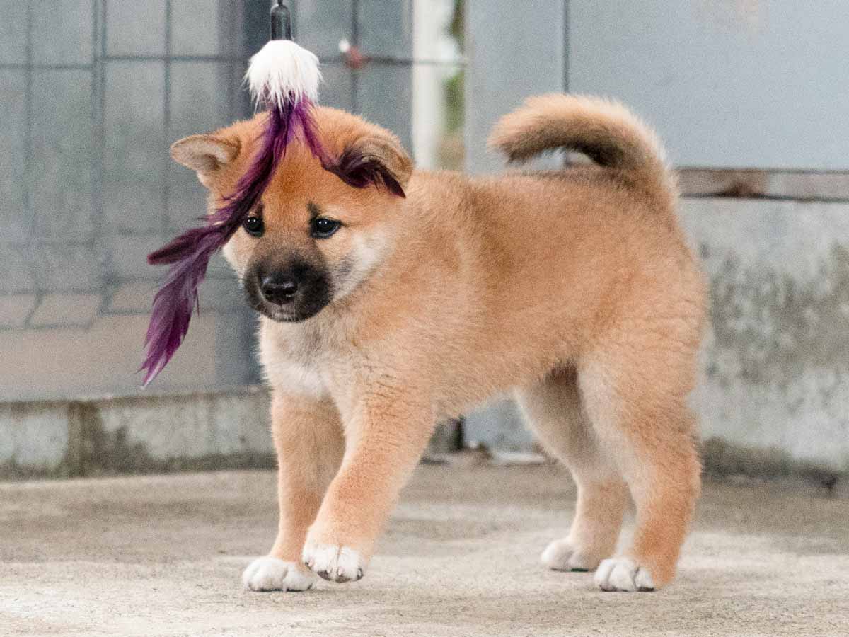 DSC00773-Edit DSC00773-Edit