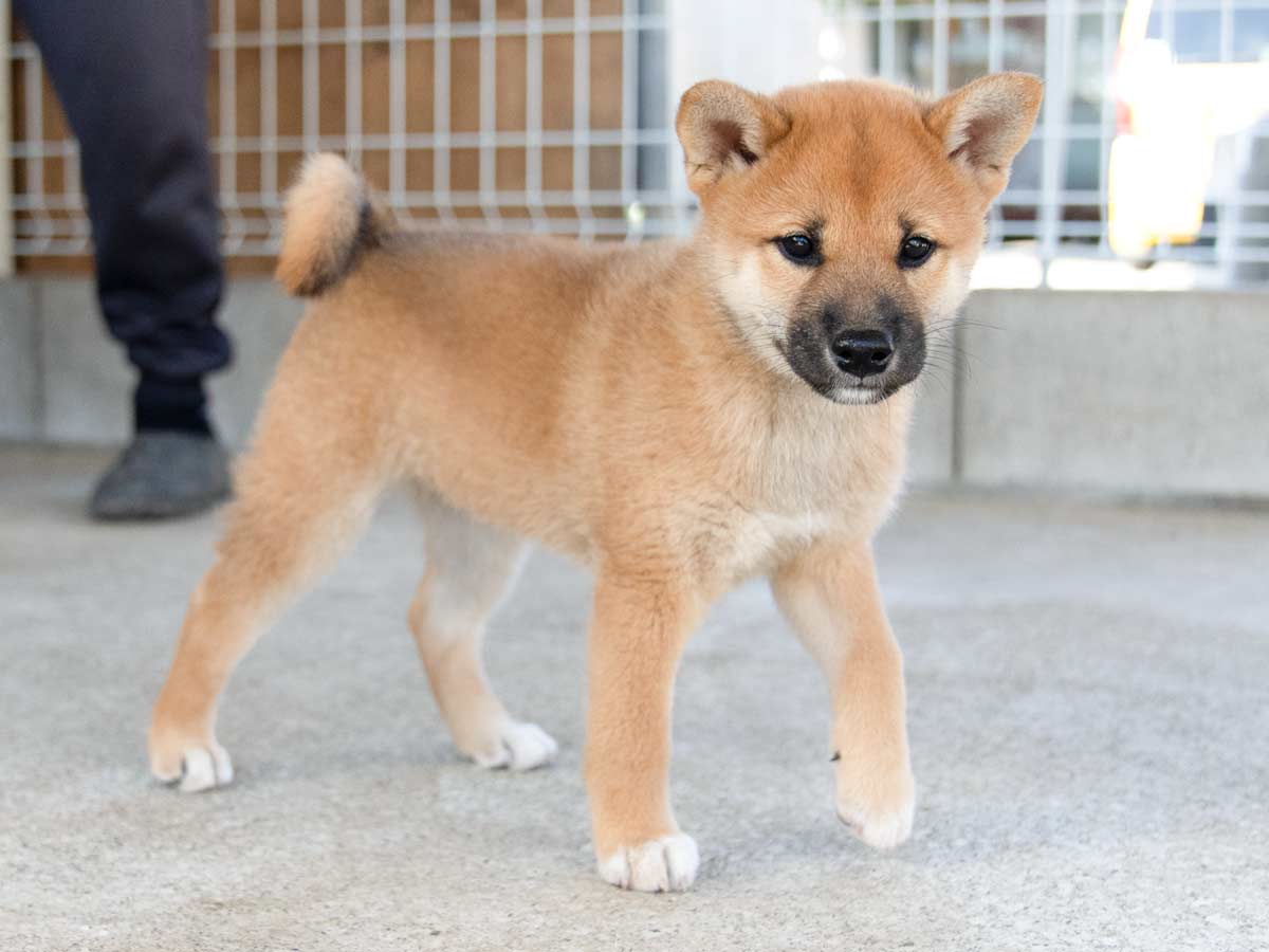 DSC07572-Edit DSC07572-Edit