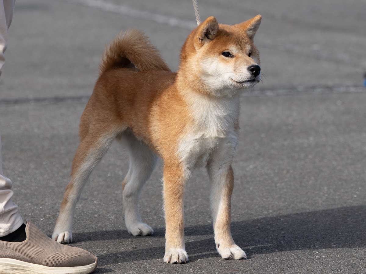 DSC07230-Edit DSC07230-Edit