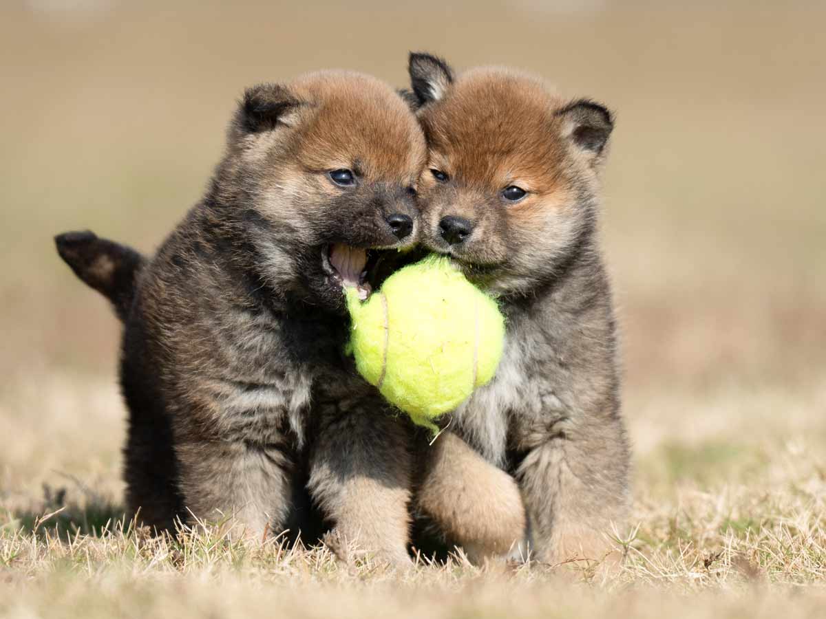 DSC01053-Edit DSC01053-Edit