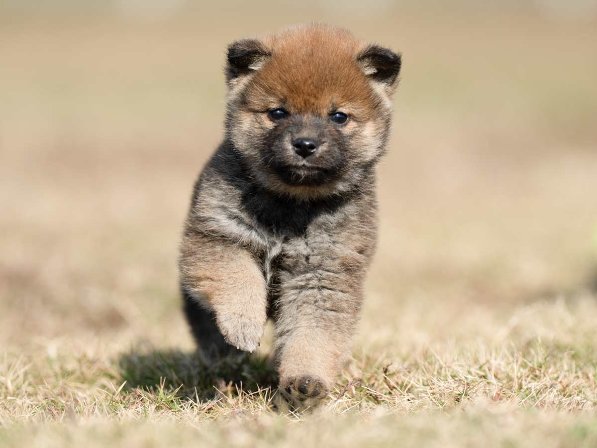 DSC01213-Edit DSC01213-Edit