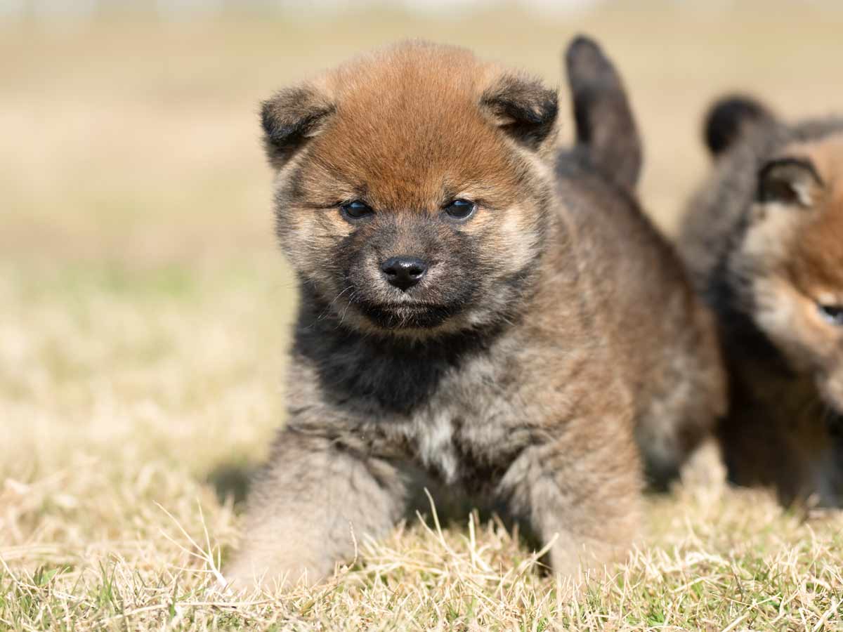 DSC01269-Edit DSC01269-Edit