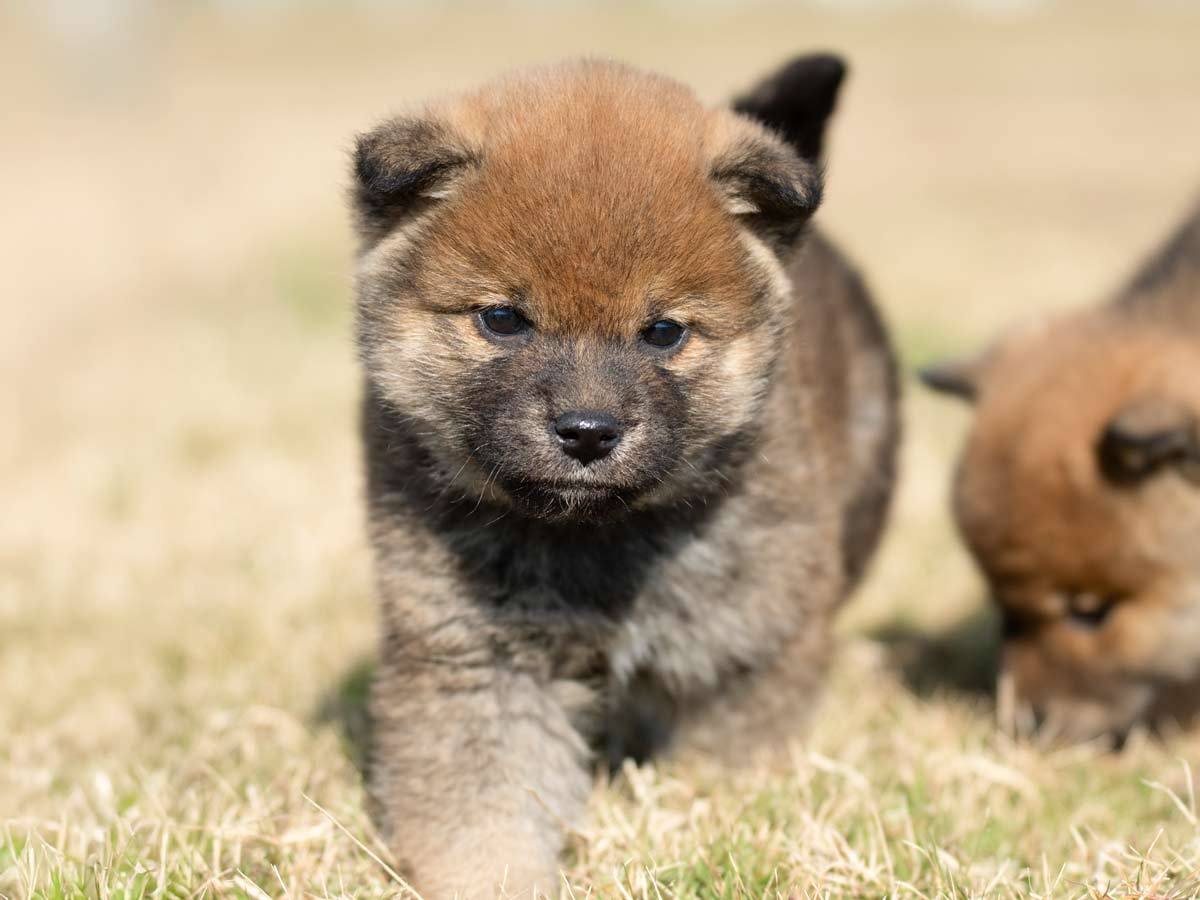 DSC01294-Edit DSC01294-Edit