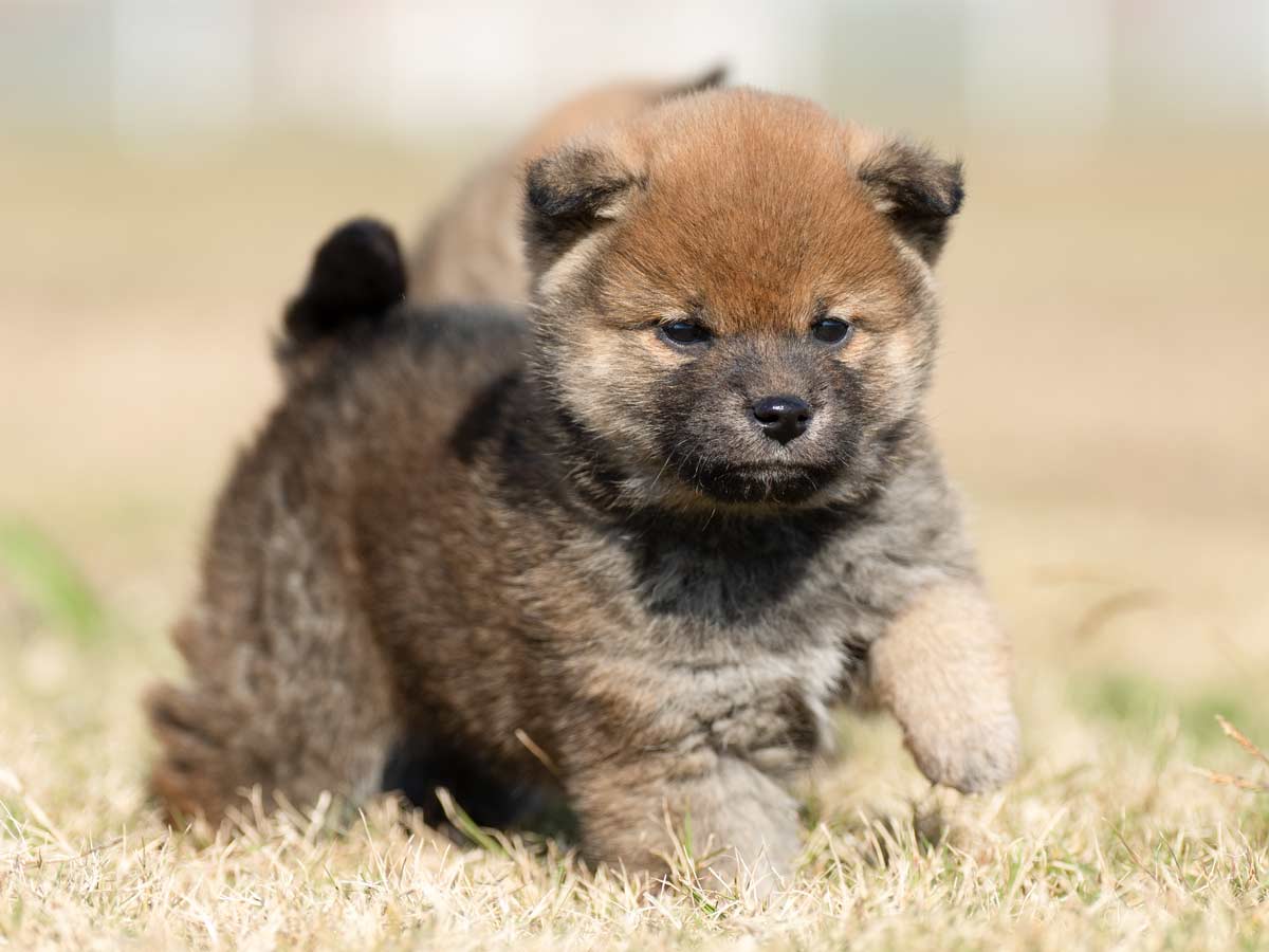 DSC01644-Edit DSC01644-Edit