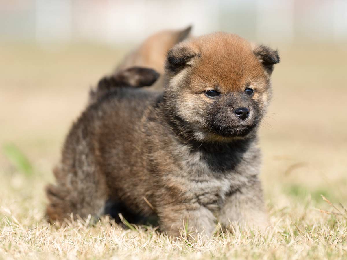 DSC01649-Edit DSC01649-Edit