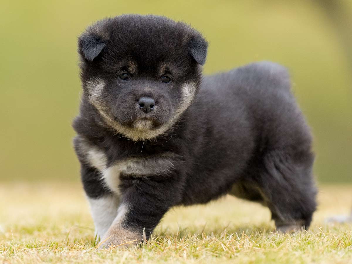 DSC02016-Edit DSC02016-Edit