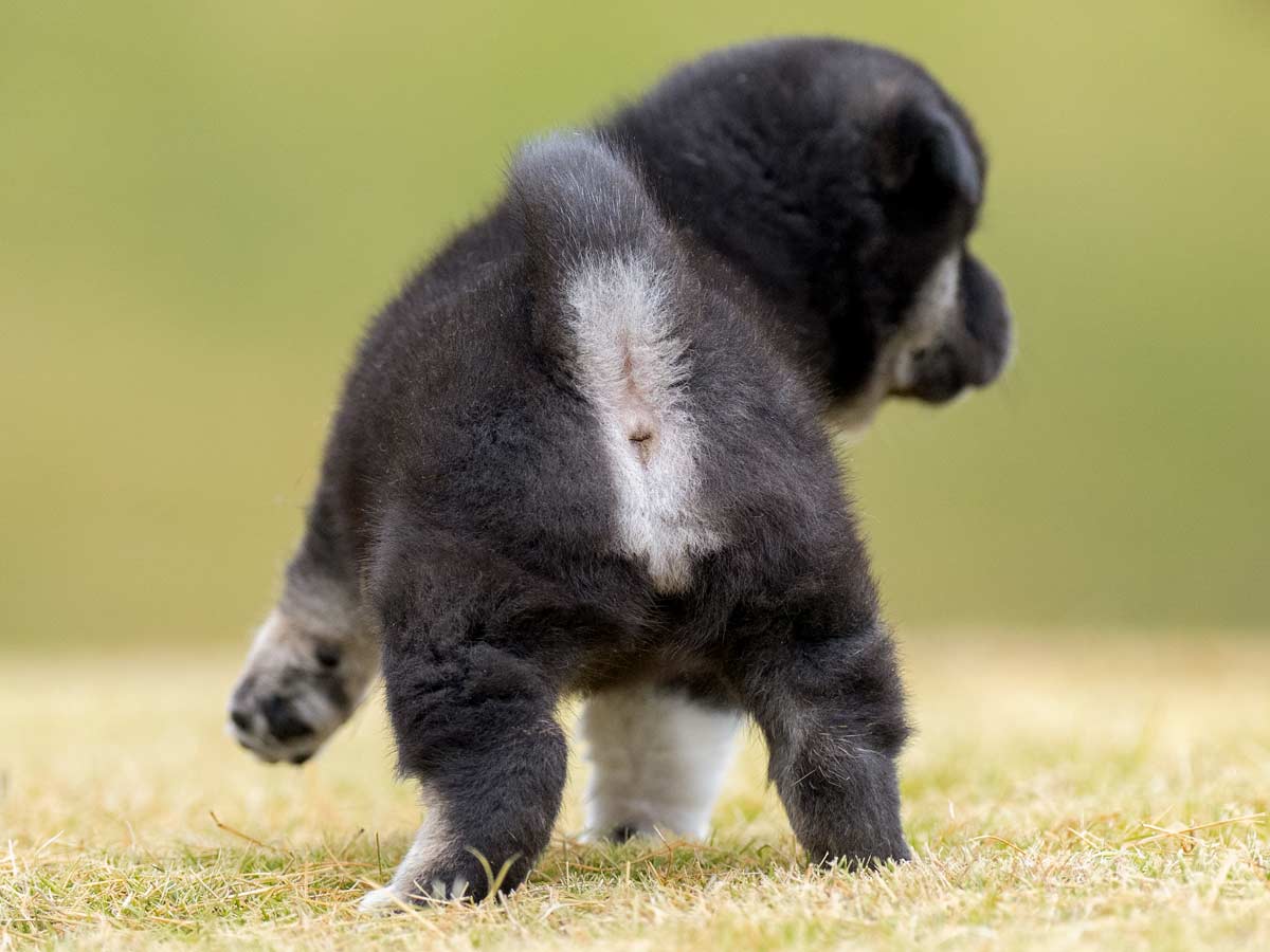 DSC02155-Edit DSC02155-Edit