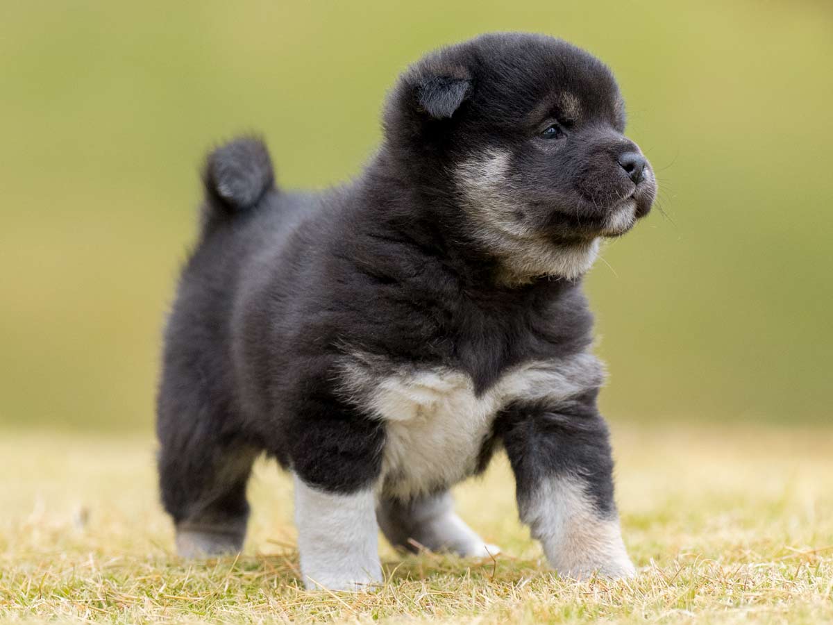 DSC02186-Edit DSC02186-Edit