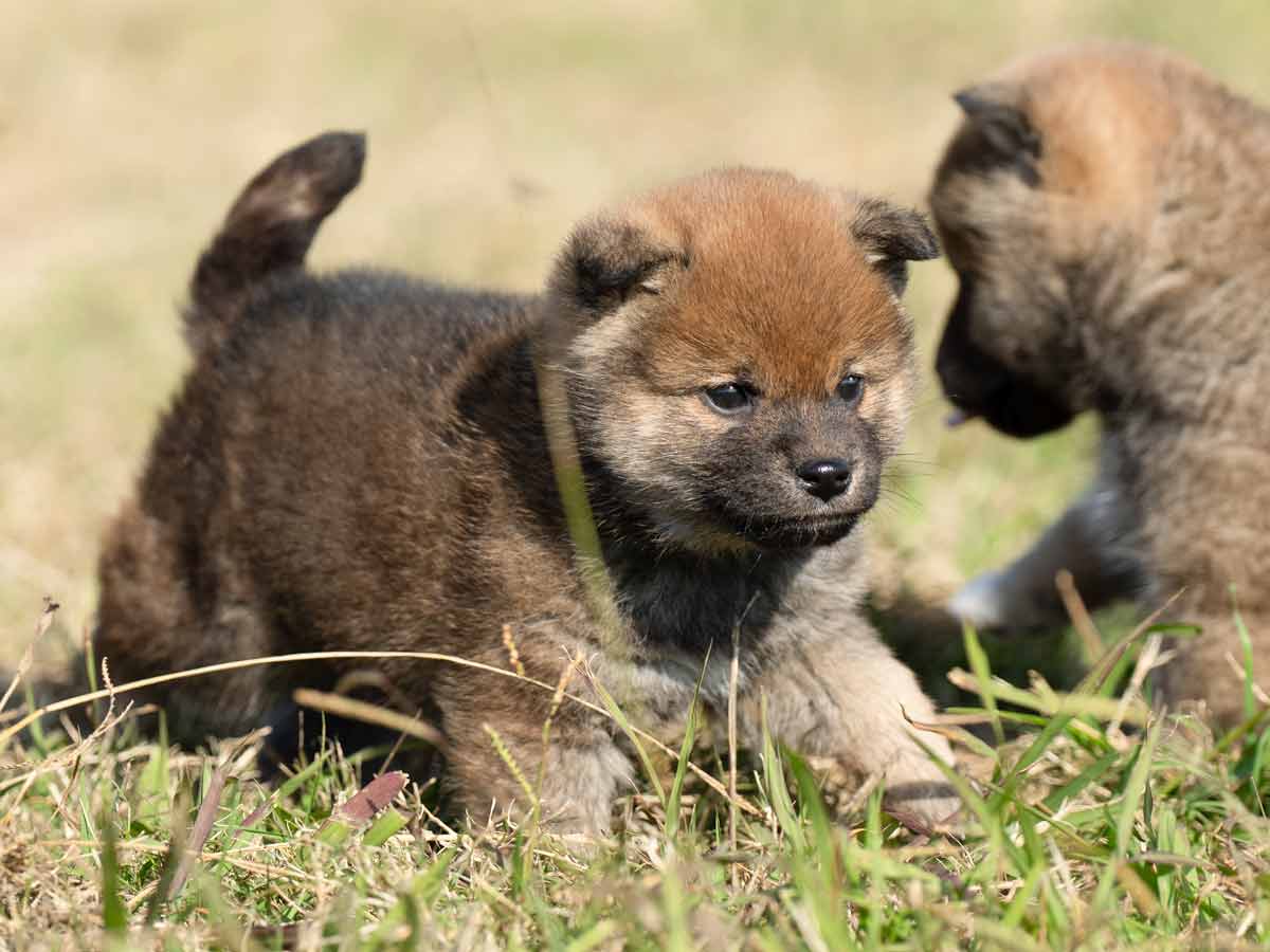 DSC02286-Edit DSC02286-Edit