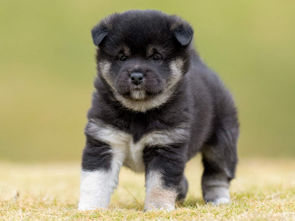 DSC02294-Edit DSC02294-Edit