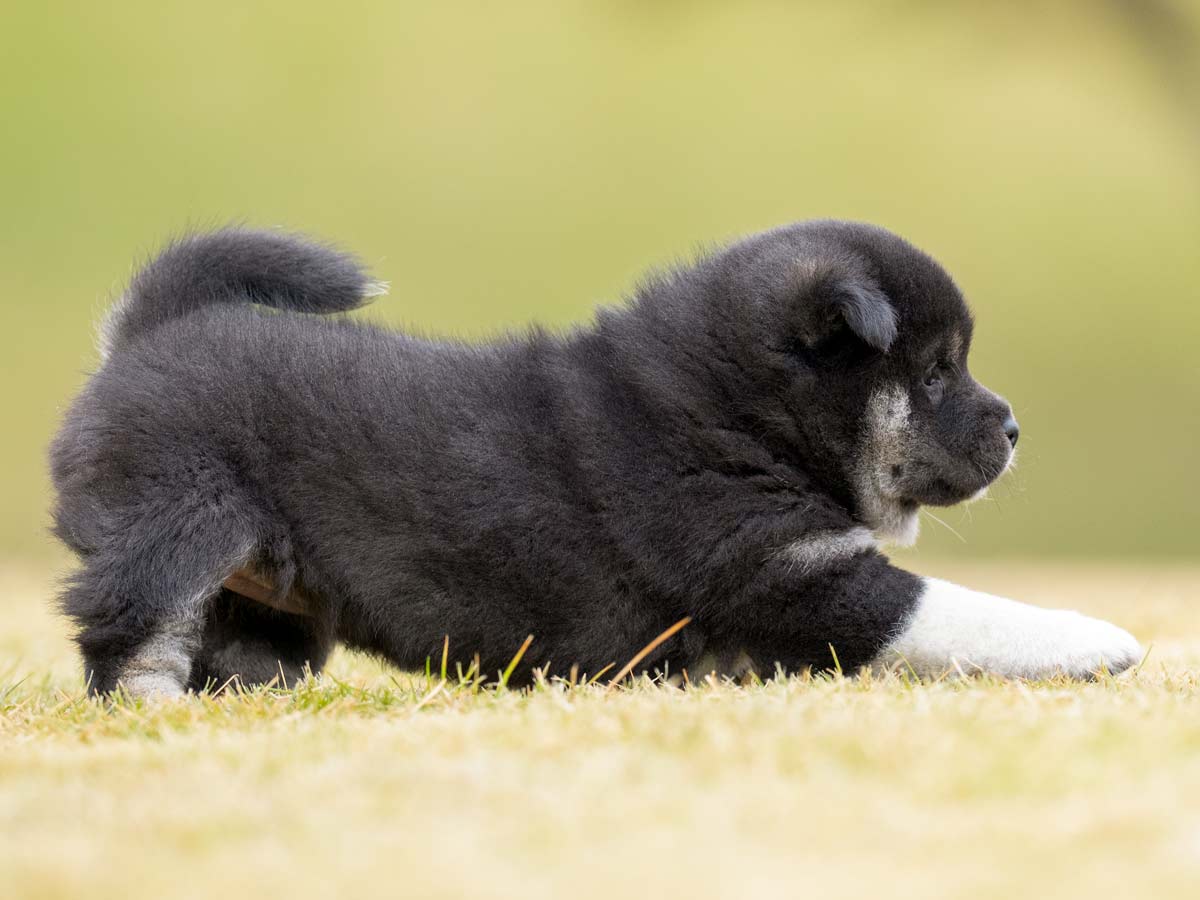 DSC02447-Edit DSC02447-Edit