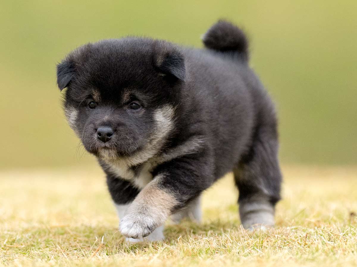 DSC02620-Edit DSC02620-Edit