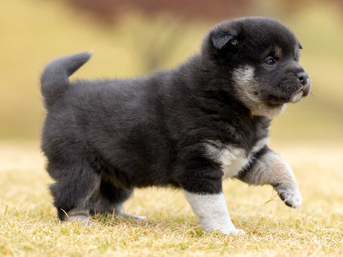 DSC02764-Edit DSC02764-Edit