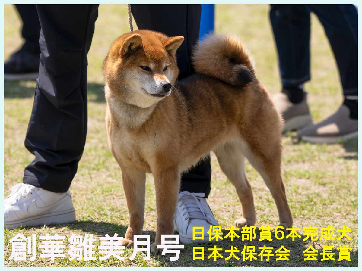 創華雛美月号（高竜・創華の雛子）