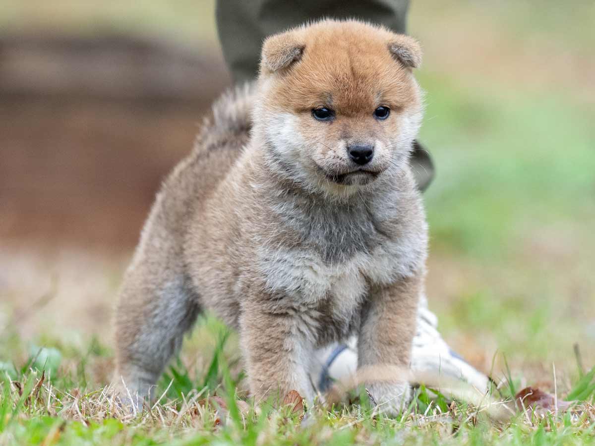 DSC00143-Edit DSC00143-Edit