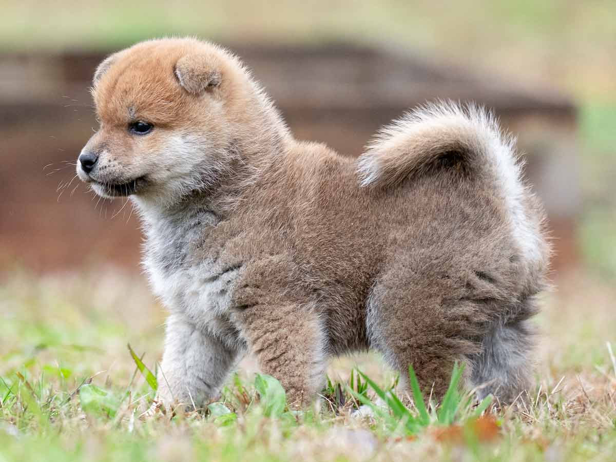 DSC00220-Edit DSC00220-Edit