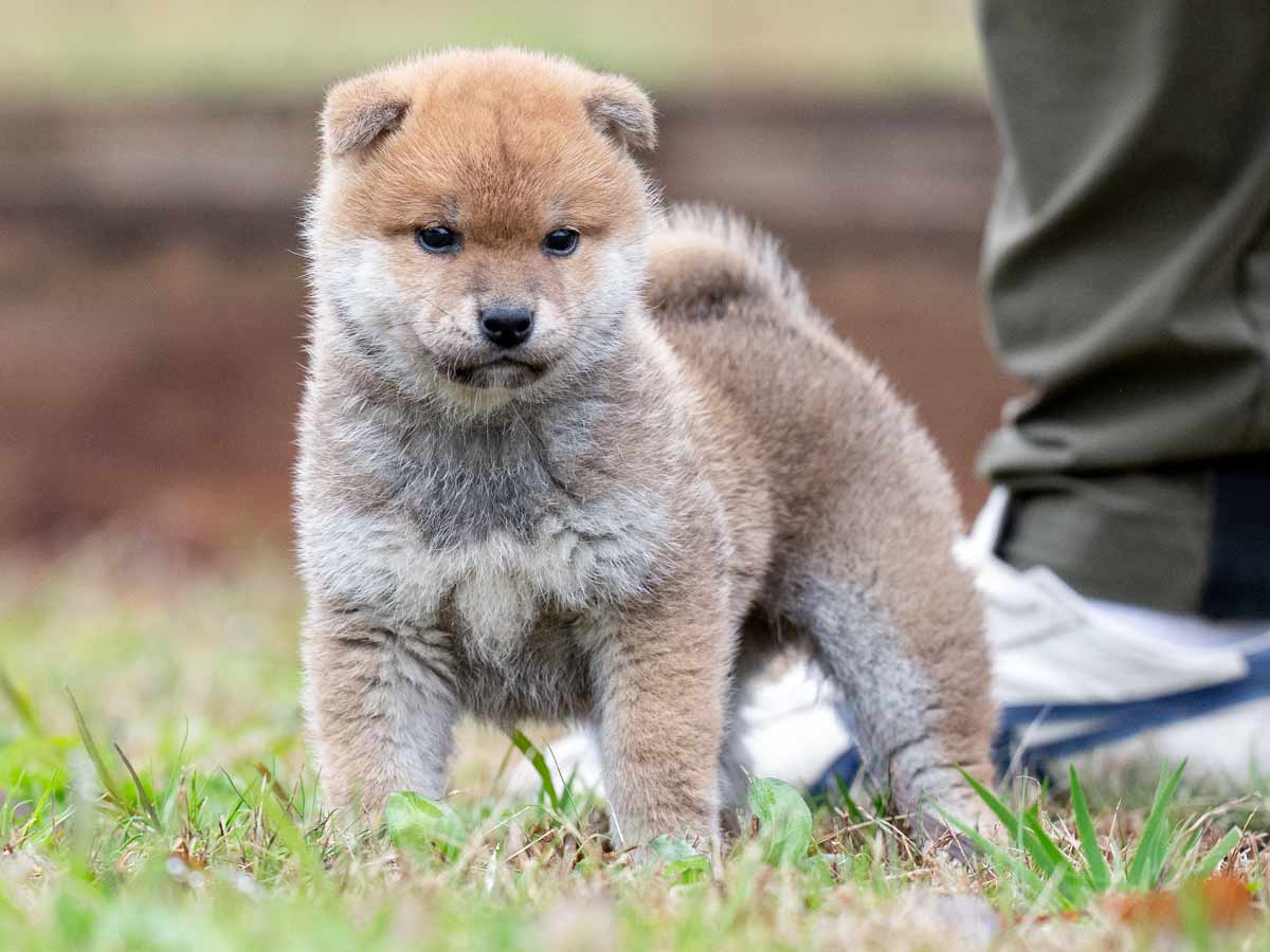 DSC00248-Edit DSC00248-Edit