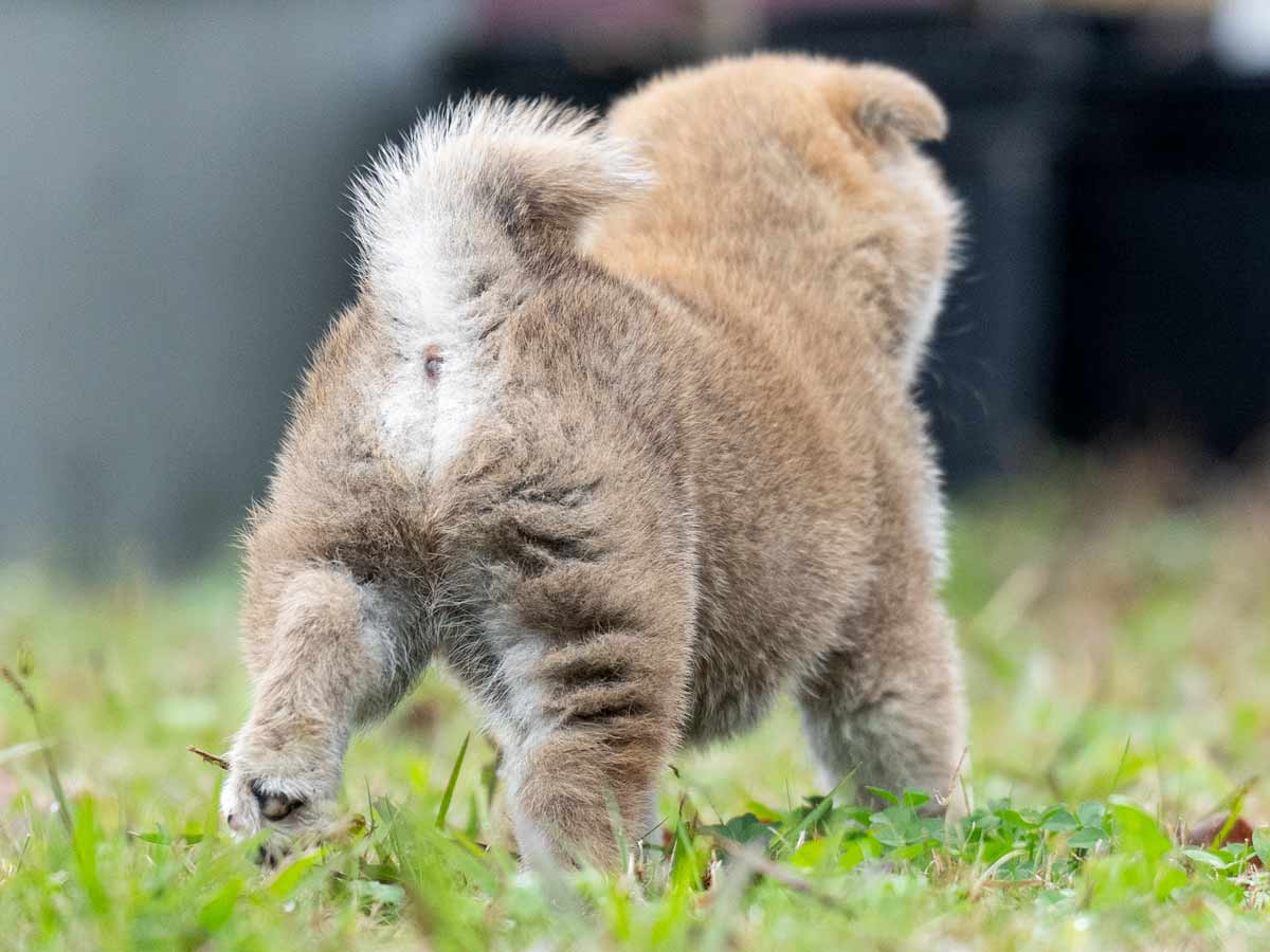 DSC00355-Edit DSC00355-Edit