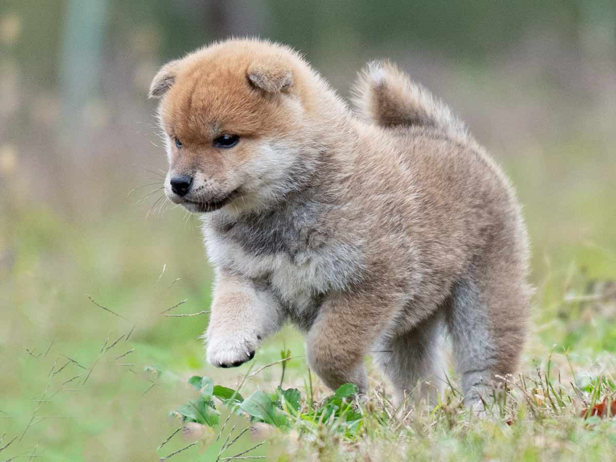 DSC00515-Edit DSC00515-Edit