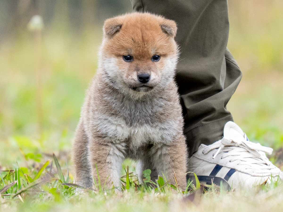 DSC01063-Edit DSC01063-Edit