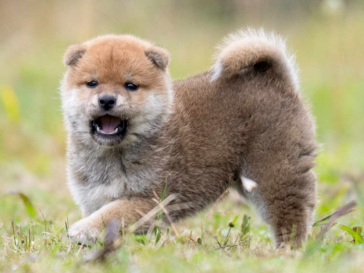 DSC01184-Edit DSC01184-Edit