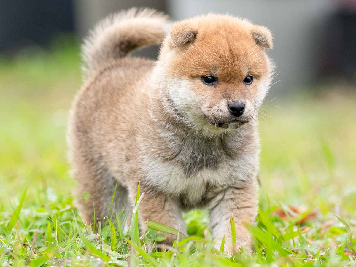 DSC01453-Edit DSC01453-Edit