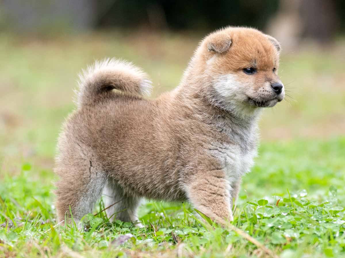 DSC01617-Edit DSC01617-Edit