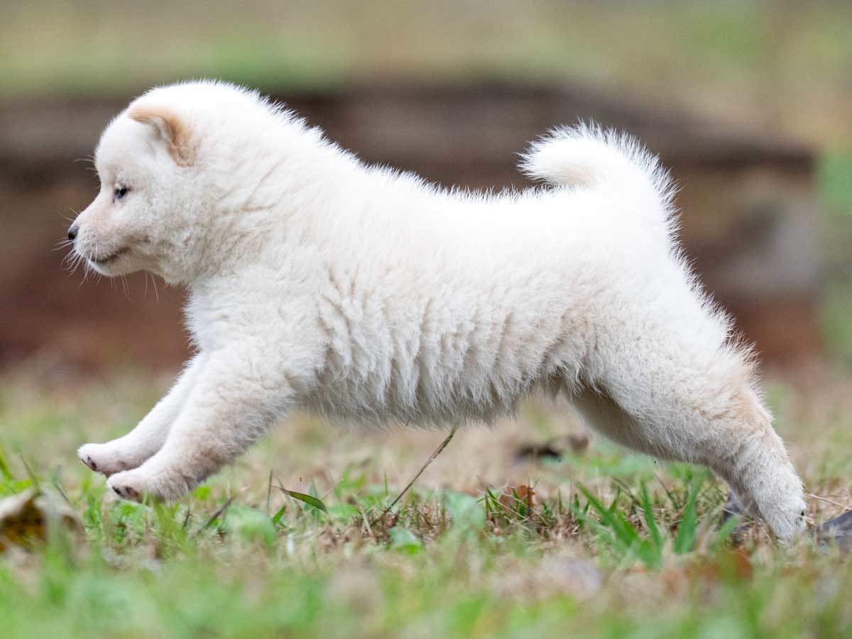 DSC02018-Edit DSC02018-Edit