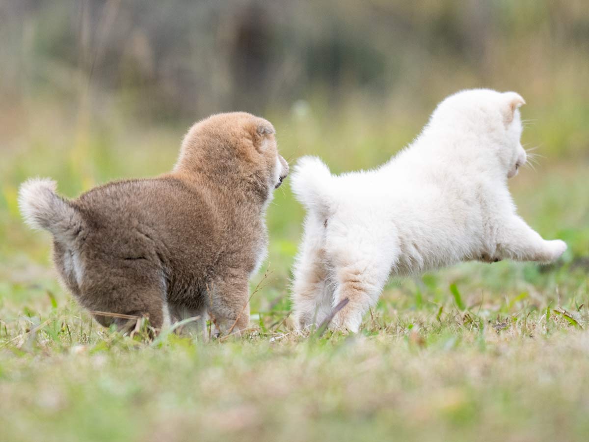 DSC02630-Edit DSC02630-Edit