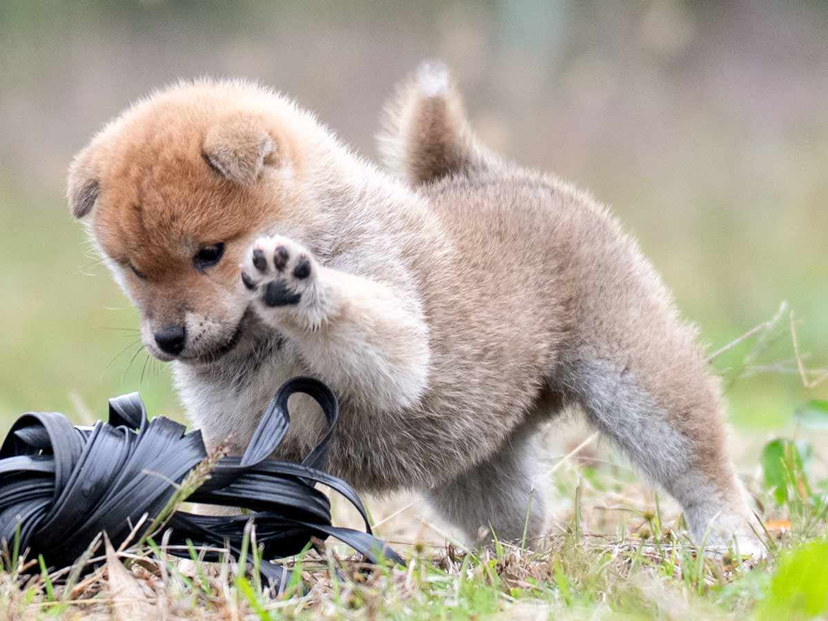 DSC02770-Edit DSC02770-Edit