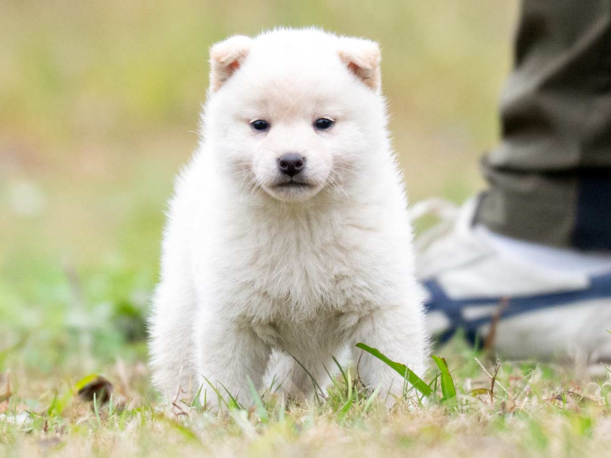 DSC02836-Edit DSC02836-Edit