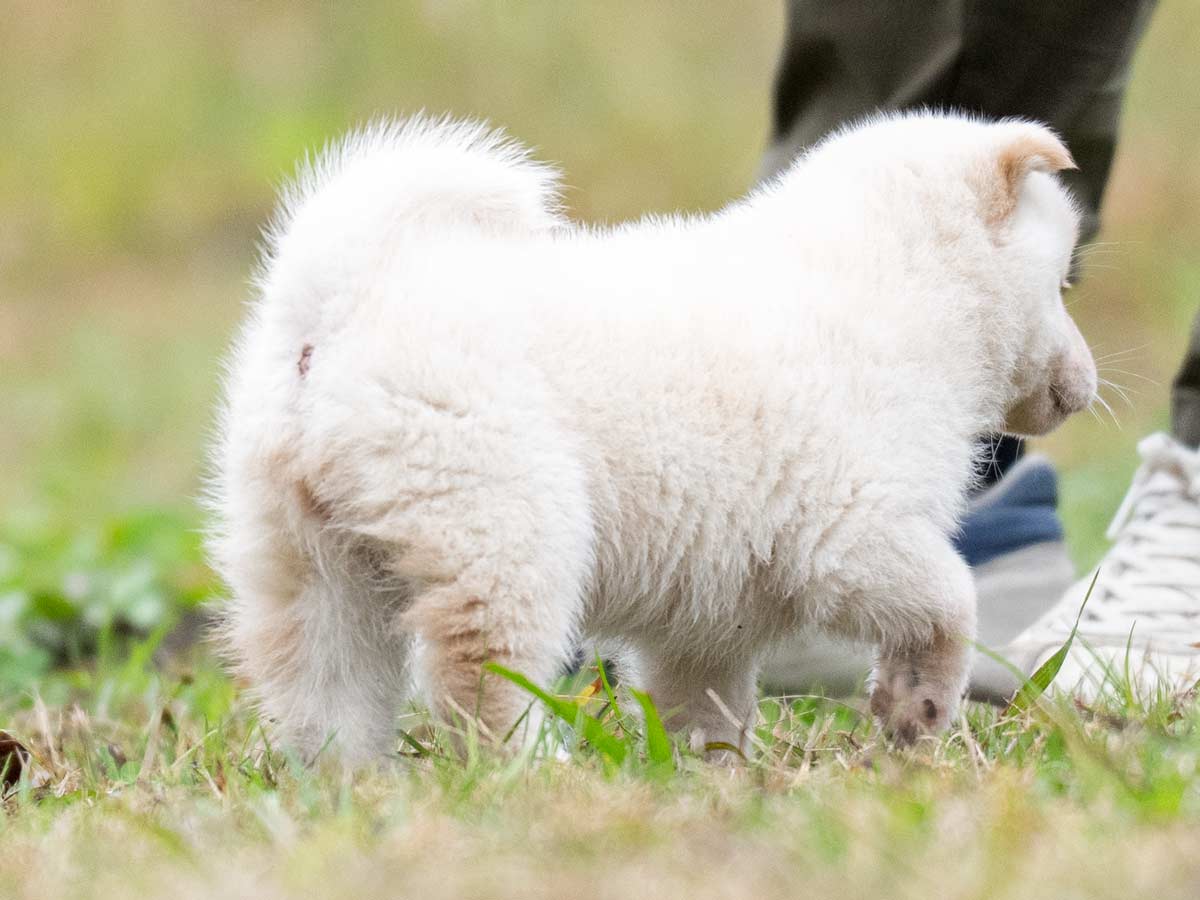 DSC02875-Edit DSC02875-Edit