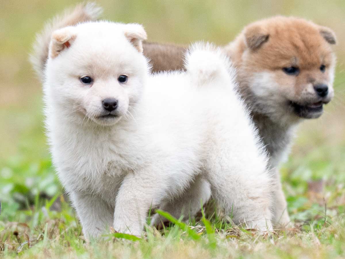 DSC03038-Edit DSC03038-Edit