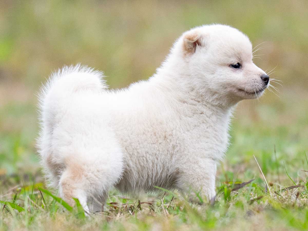 DSC03123-Edit DSC03123-Edit