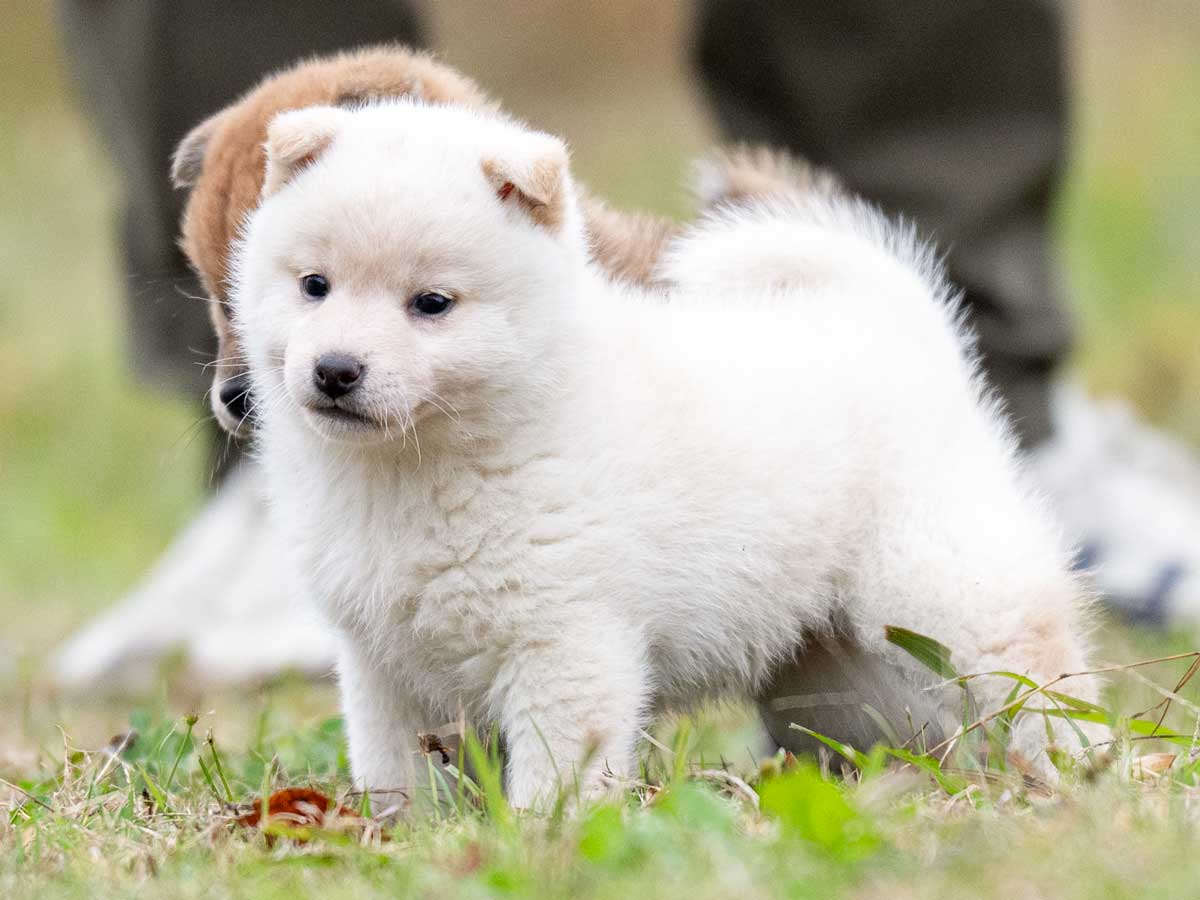 DSC03636-Edit DSC03636-Edit