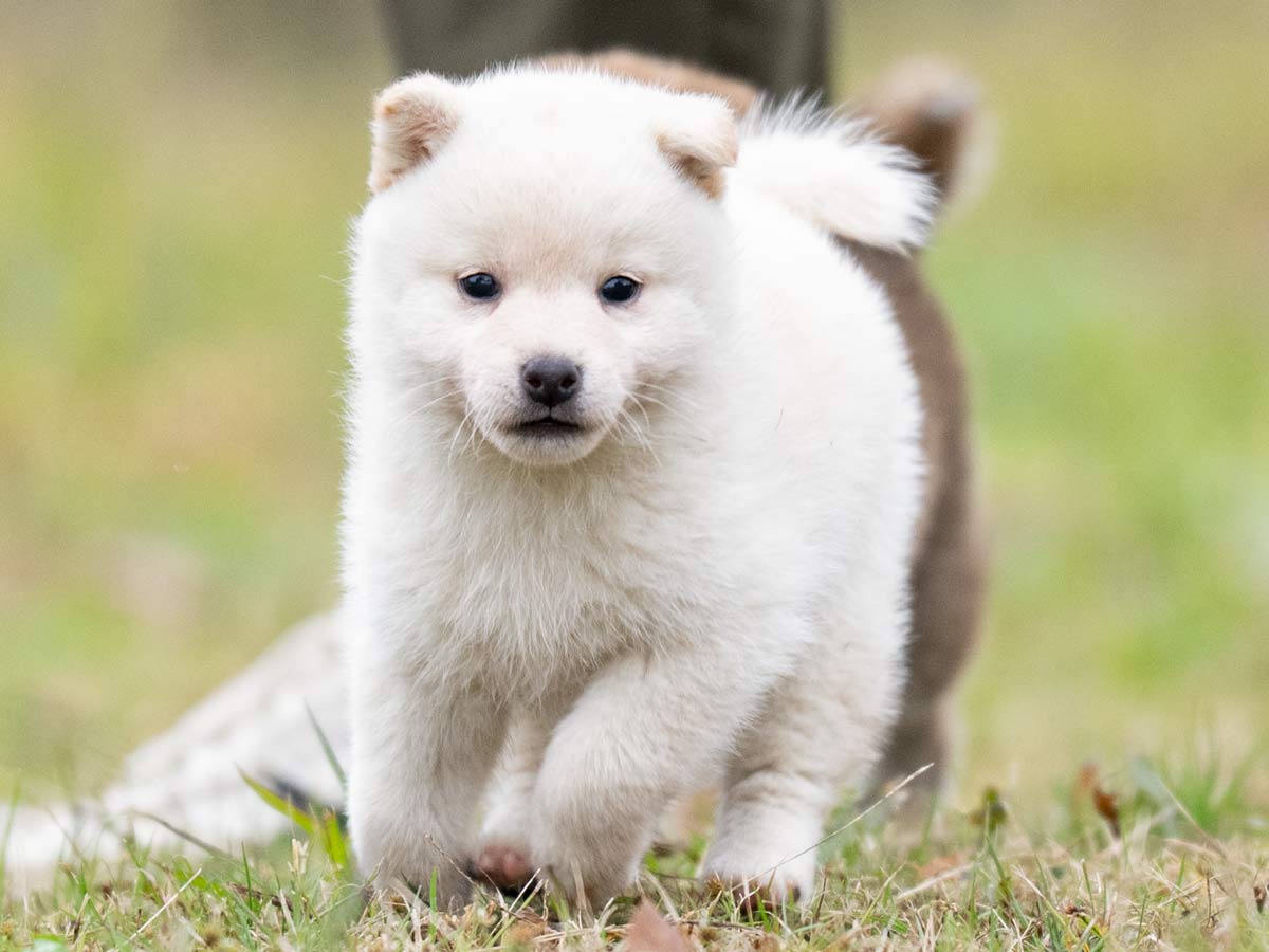 DSC04229-Edit DSC04229-Edit