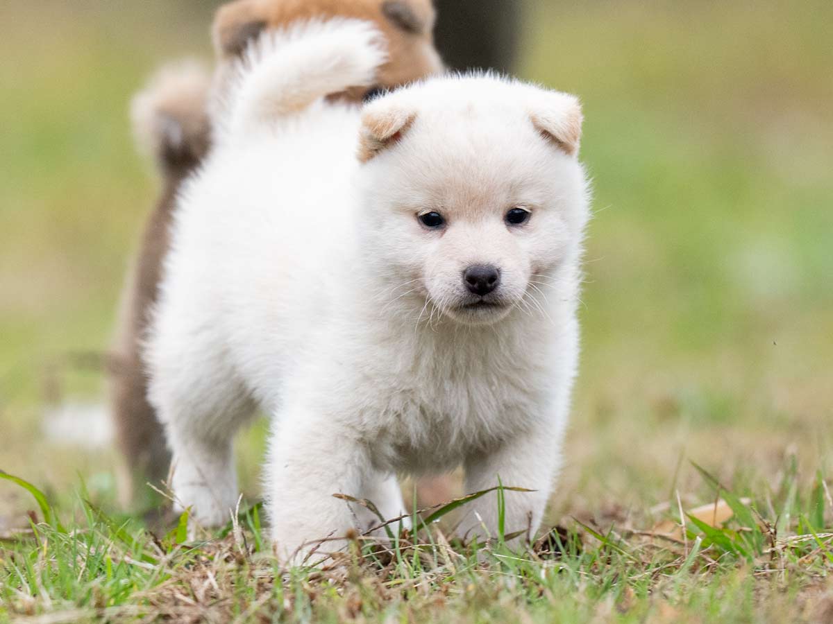 DSC04251-Edit DSC04251-Edit