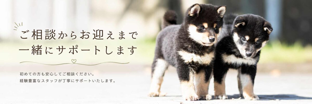 ご相談からお迎えまで一緒にサポートします